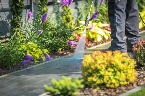 Best Dumpster Area Cleaning  in Magna, UT